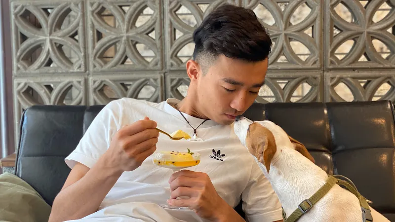 打勾勾人寵慢活會所/客製化寵物蛋糕/寵物友善餐廳/慶生派對/空間出租/寶寶副食品蛋糕/寵物選物