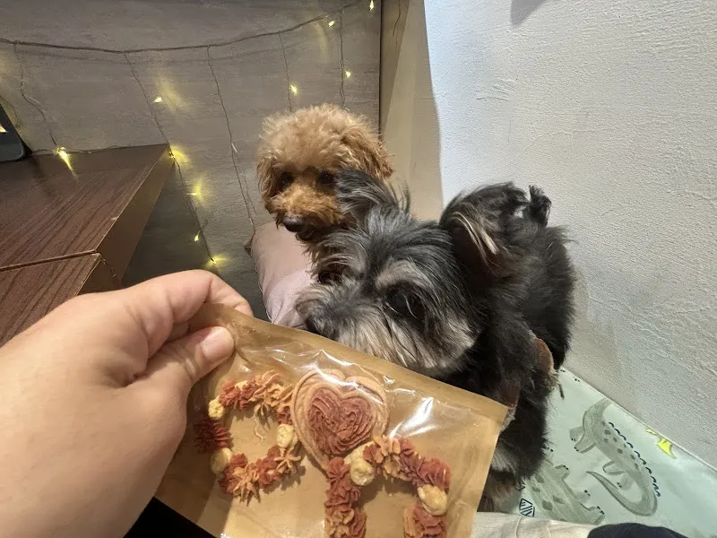 打勾勾人寵慢活會所/客製化寵物蛋糕/寵物友善餐廳/慶生派對/空間出租/寶寶副食品蛋糕/寵物選物