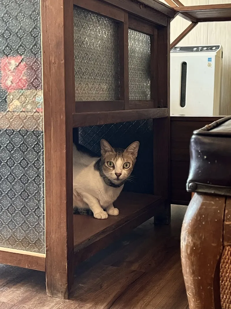 打勾勾人寵慢活會所/客製化寵物蛋糕/寵物友善餐廳/慶生派對/空間出租/寶寶副食品蛋糕/寵物選物