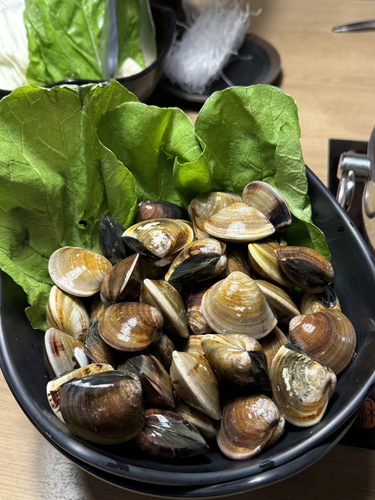 金鍋盃中壢店（寵物友善餐廳）