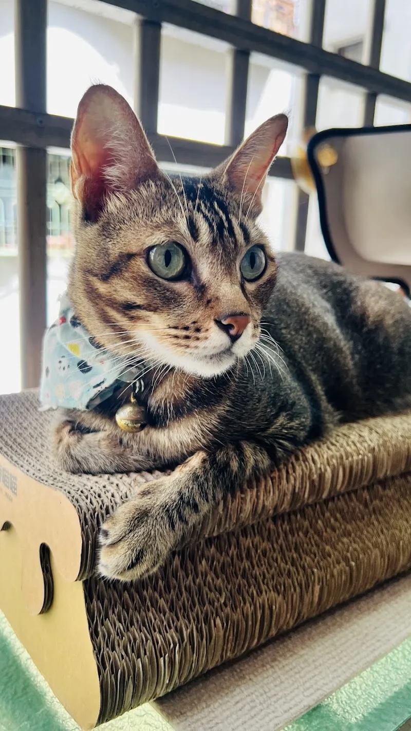 寵物公園(高雄左營店) - 專業寵物用品&寵物美容