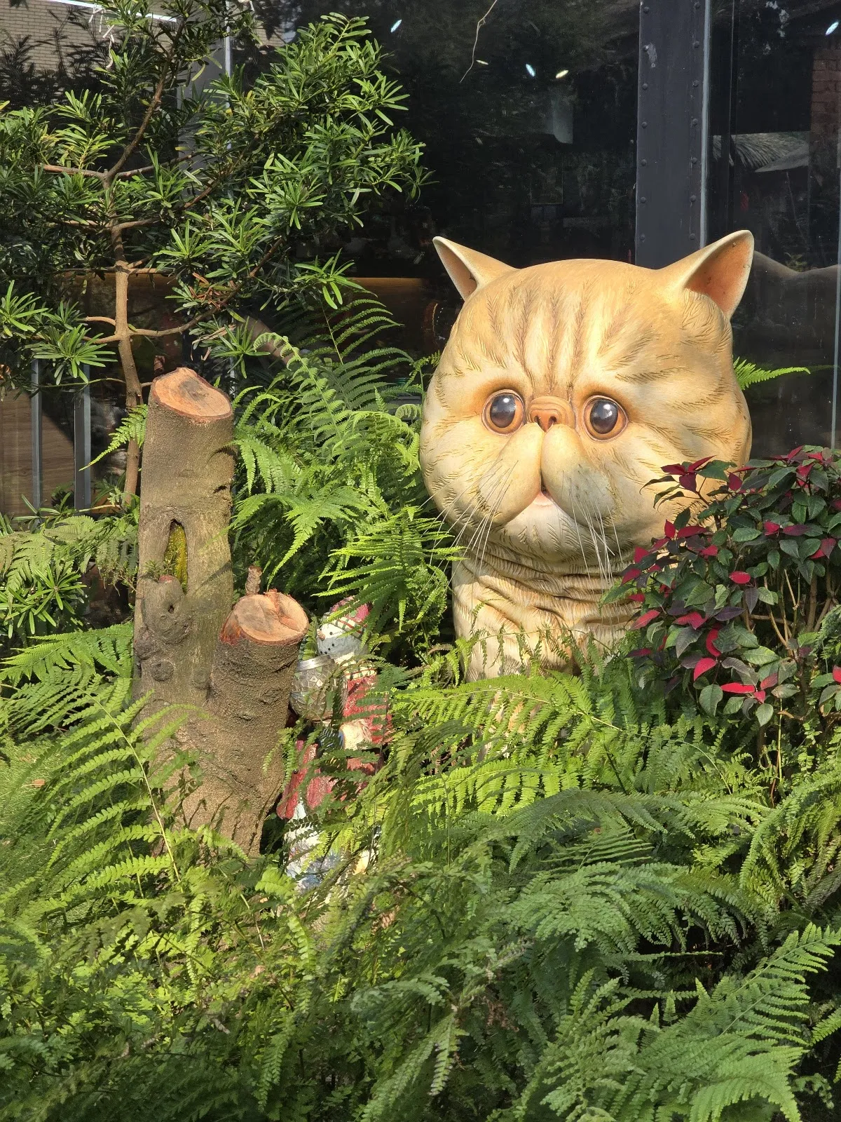 游家肥貓動物友善餐廳