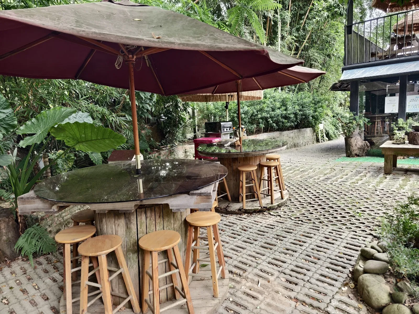 游家肥貓動物友善餐廳