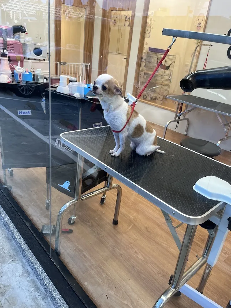 寵物公園(內壢文化店) - 專業寵物用品&寵物美容