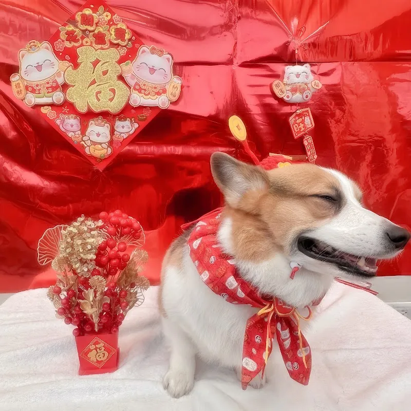 寵物公園(內壢文化店) - 專業寵物用品&寵物美容