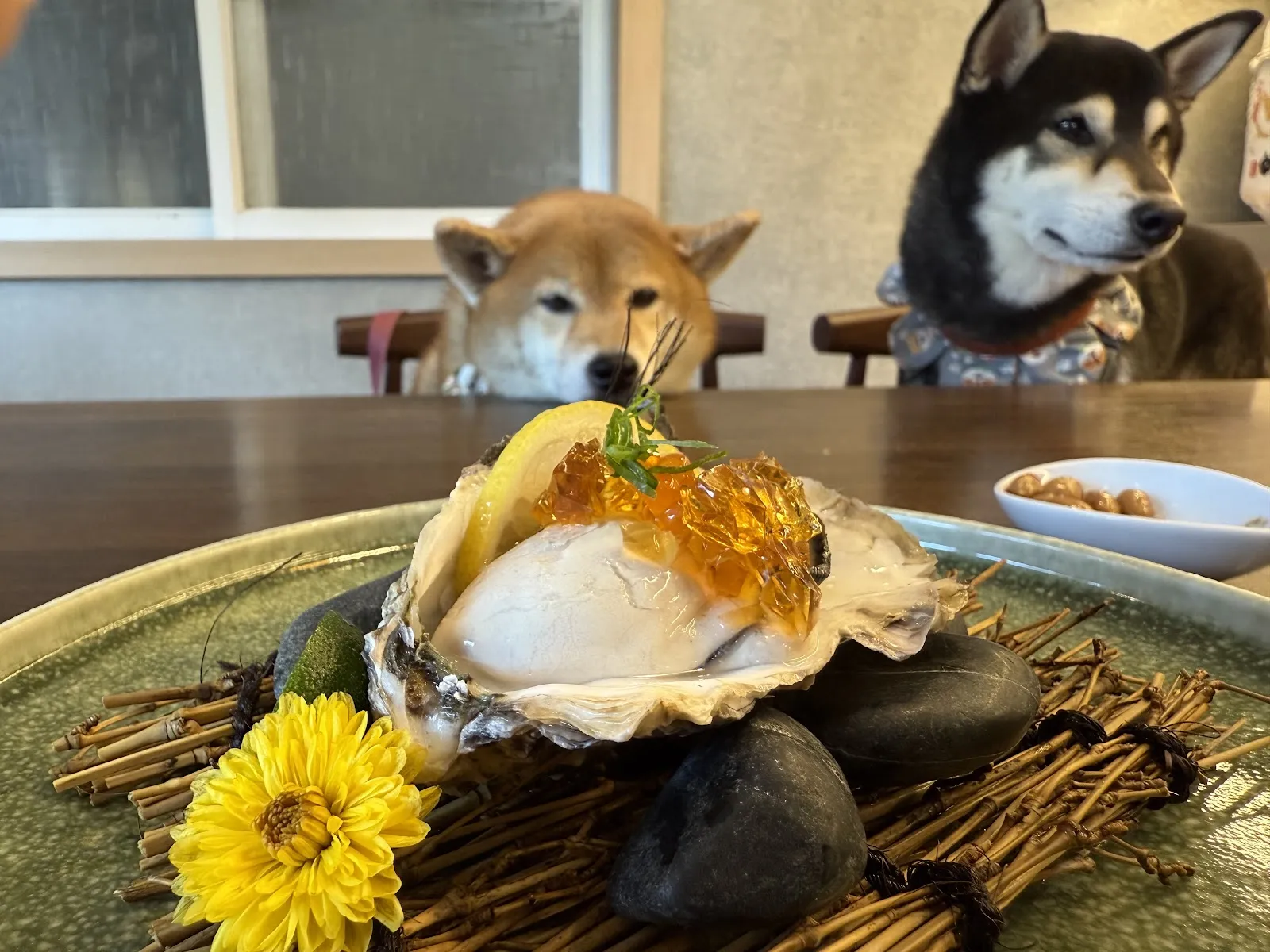 千汌 にほんりょうり