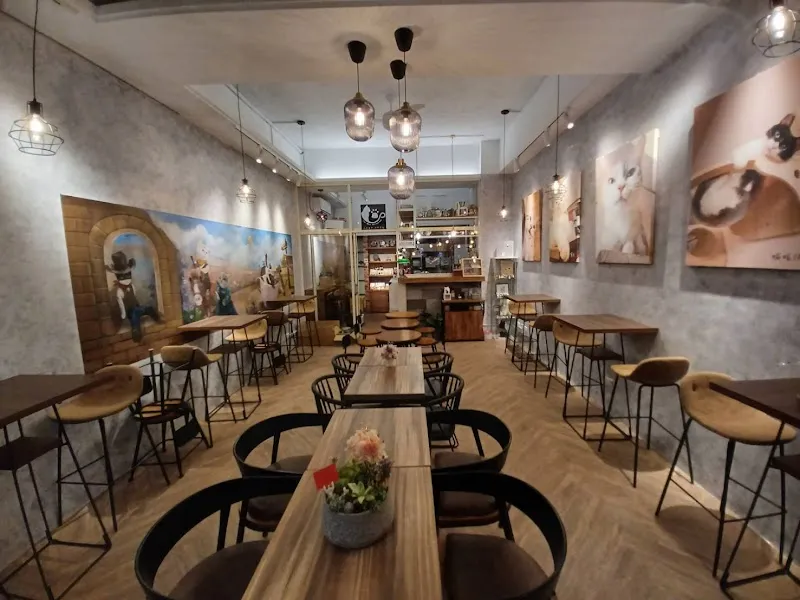 貓老闆 [寵物友善/有插座/義大利麵/燉飯/咖啡］