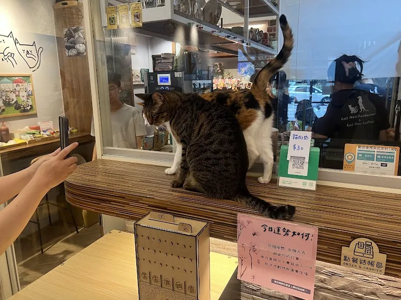 貓老闆 [寵物友善/有插座/義大利麵/燉飯/咖啡］