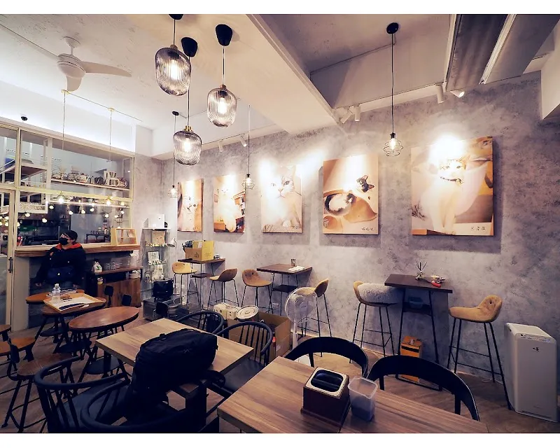 貓老闆 [寵物友善/有插座/義大利麵/燉飯/咖啡］