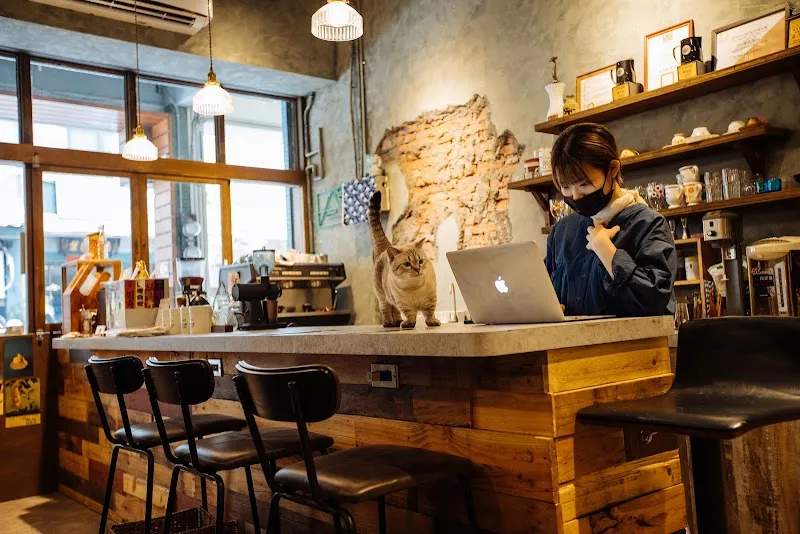 RanGerハス珈琲，每人必點一杯飲品，本人對香水過敏，12歲以下不接待，一人作業，超過四人拒接，人到齊才入座，店小，有貓，寵物友善，打這樣是希望你能更了解這裡，避免白跑發現不喜歡