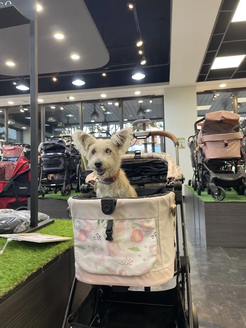 寵物公園(一心店)