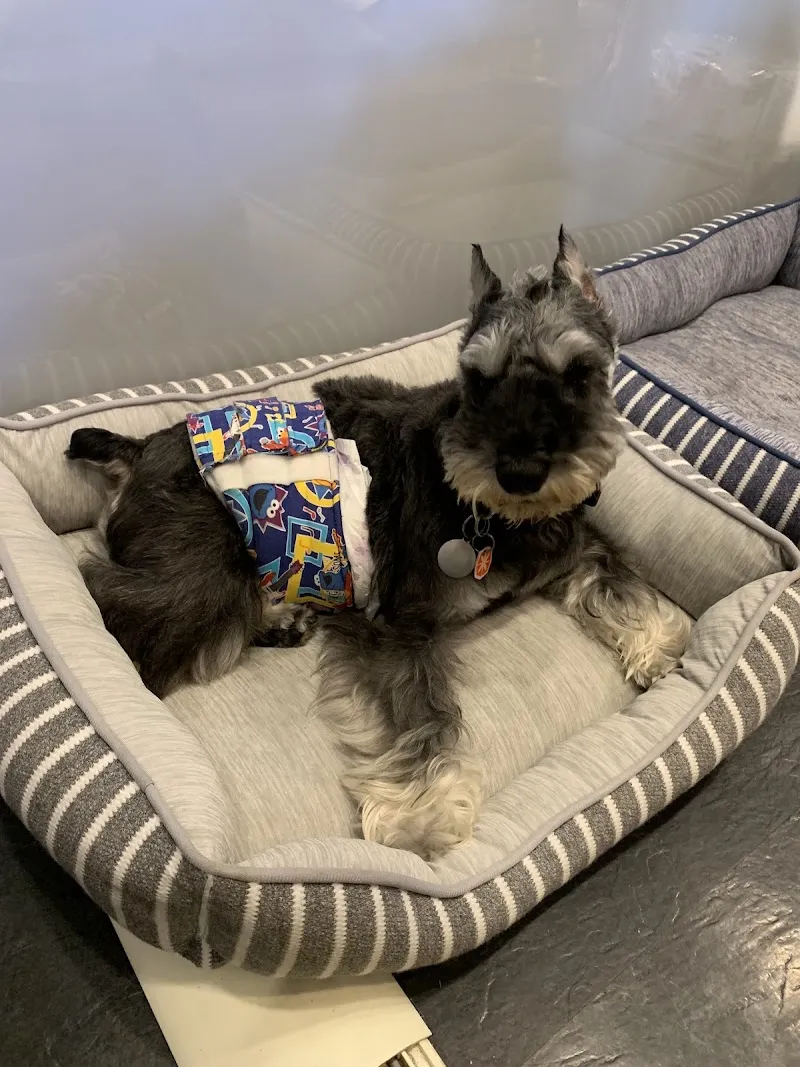 寵物公園(一心店)