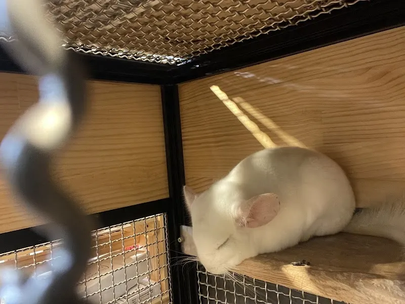 寵物公園(淡北店)