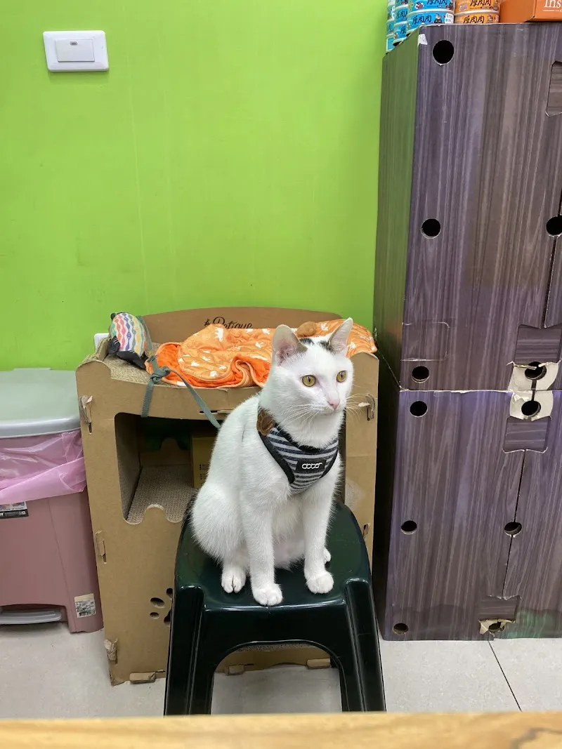 寵物公園 (斗六民生店)