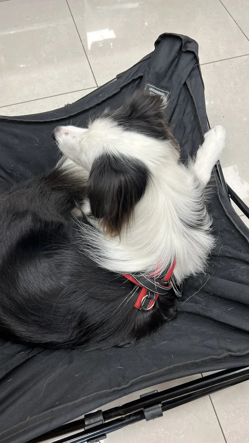 寵物公園 (斗六民生店)