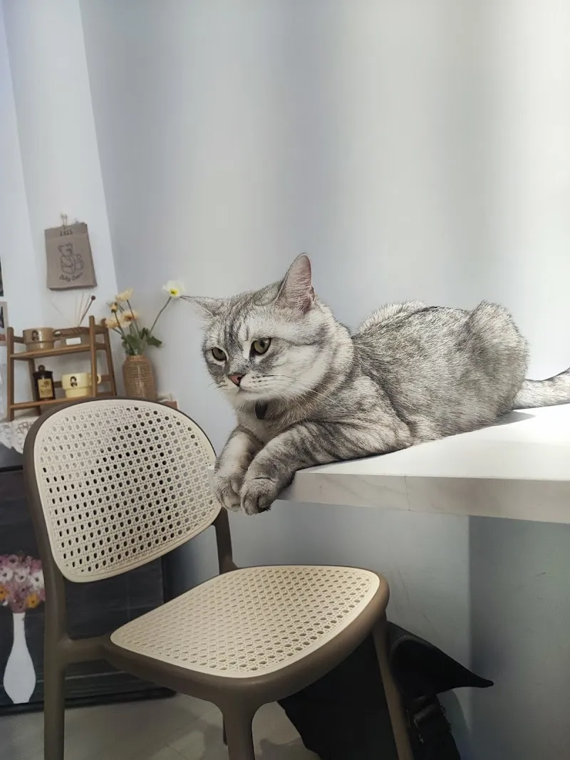 UNNIE CAFE （ 寵物友善 / 不接待3歲以下幼童 ）台中早午餐｜大里早午餐｜大里咖啡廳