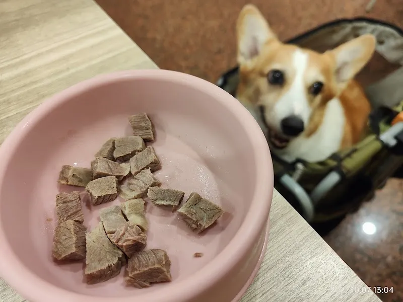 心滿義廚（義大利麵鬆餅、親子友善、寵物友善）