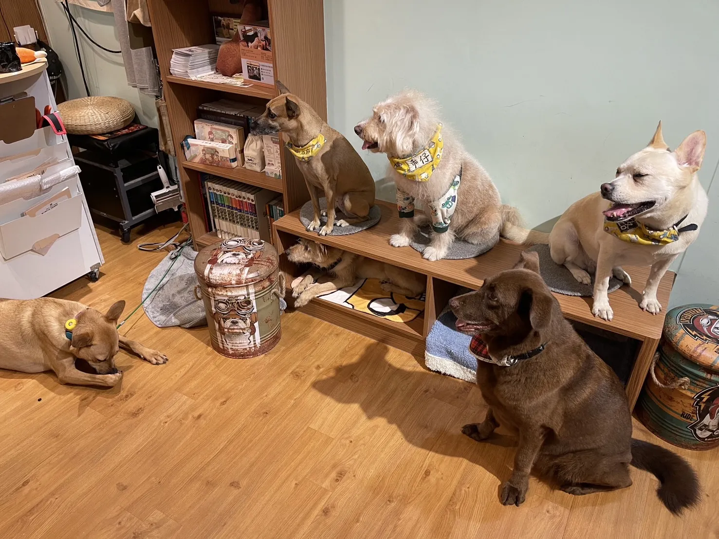 攜旺咖啡&浪浪中途學校