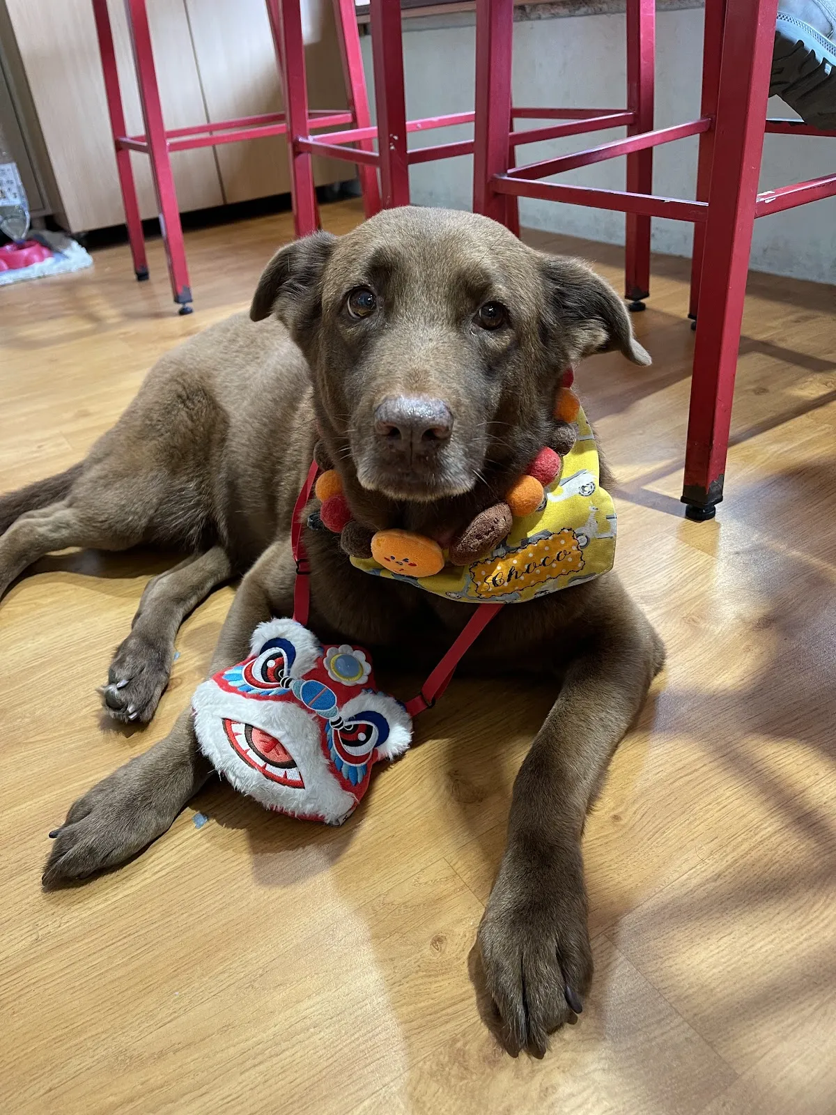 攜旺咖啡&浪浪中途學校