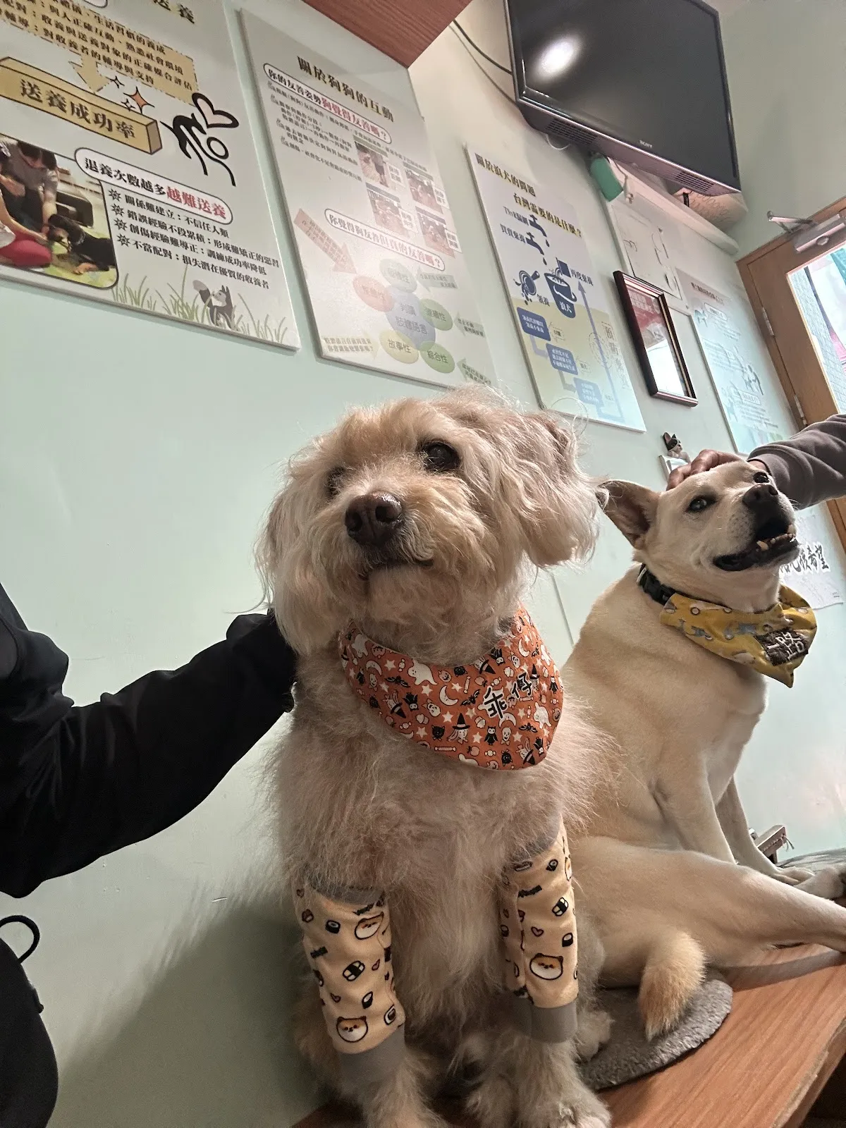 攜旺咖啡&浪浪中途學校