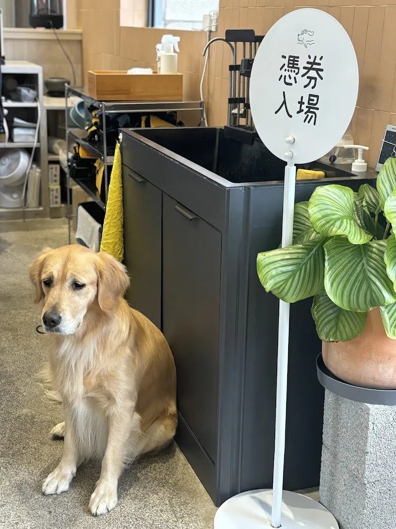 WUGAO遊狗（150公分以下孩童禁止進入泳池區）