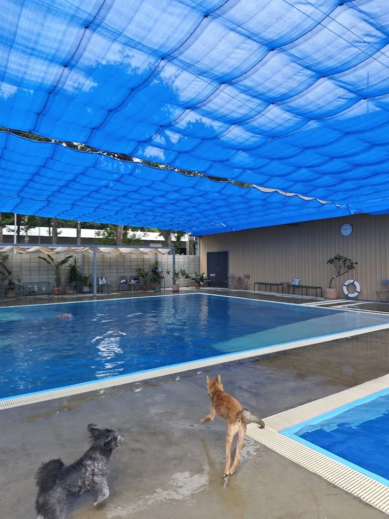 WUGAO遊狗（150公分以下孩童禁止進入泳池區）