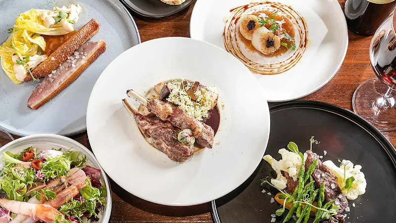 TMJ_TAIPEI（寵物友善)