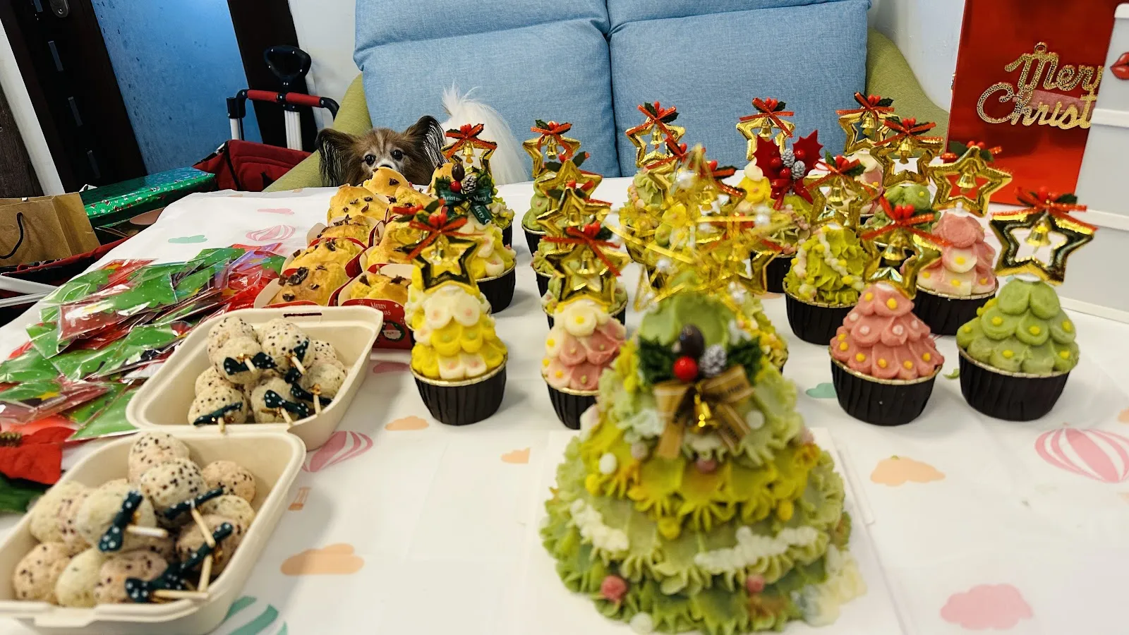 跑吧孩子寵物餐廳《平日僅收包場客（過年連假除外）假日全天開放》《毛孩入場免入場費》《台中寵物餐廳》