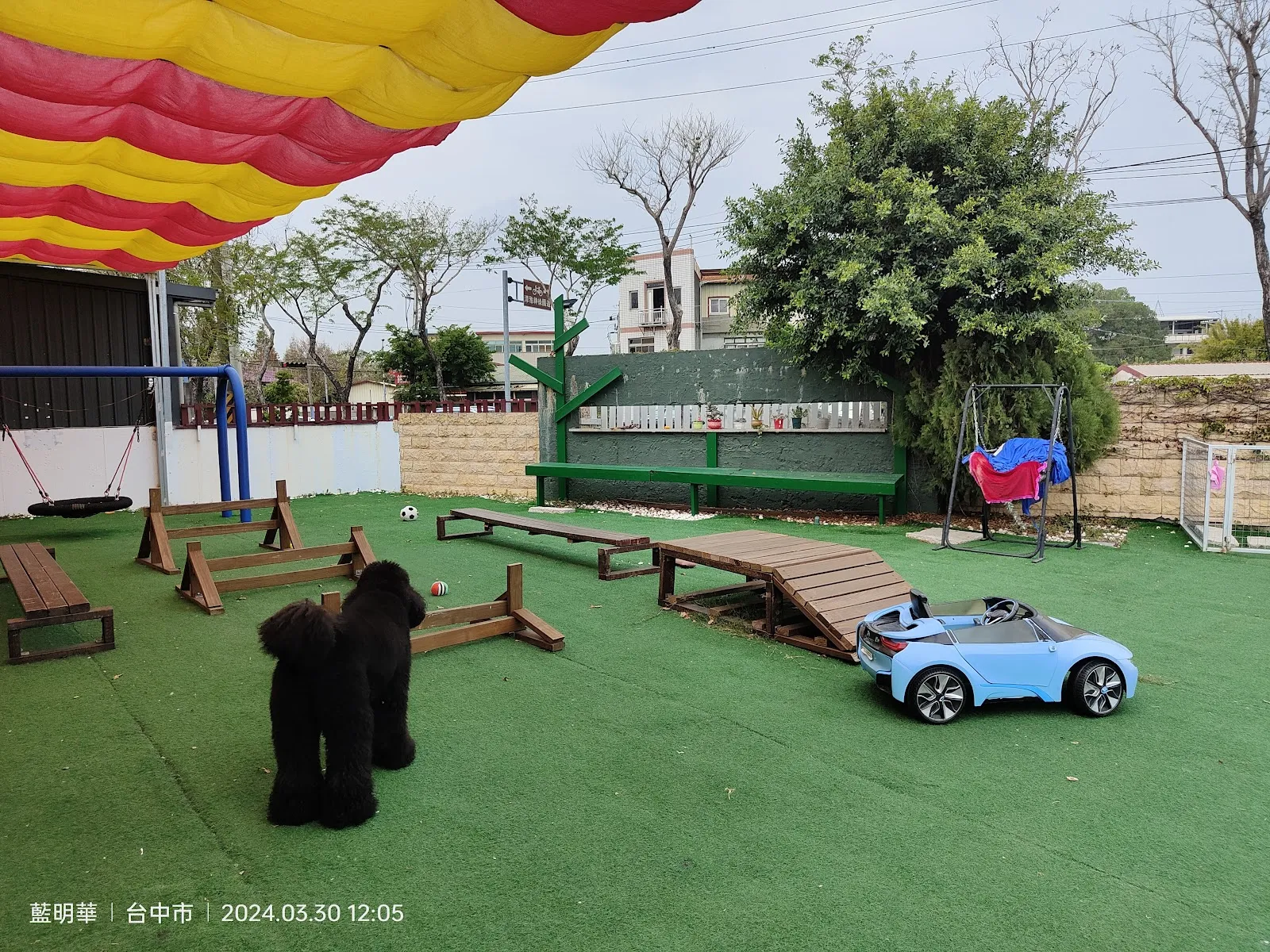 跑吧孩子寵物餐廳《平日僅收包場客（過年連假除外）假日全天開放》《毛孩入場免入場費》《台中寵物餐廳》