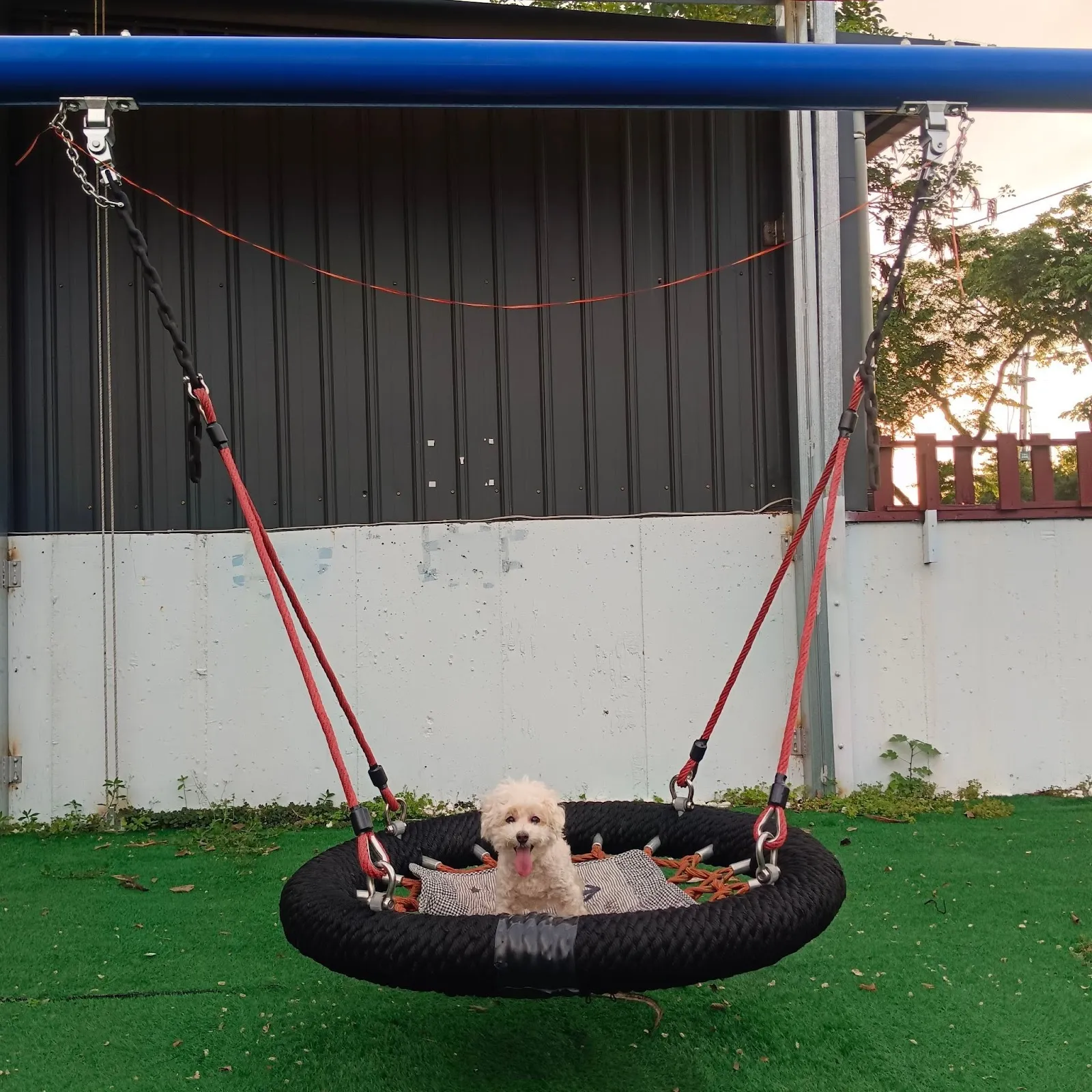 跑吧孩子寵物餐廳《平日僅收包場客（過年連假除外）假日全天開放》《毛孩入場免入場費》《台中寵物餐廳》