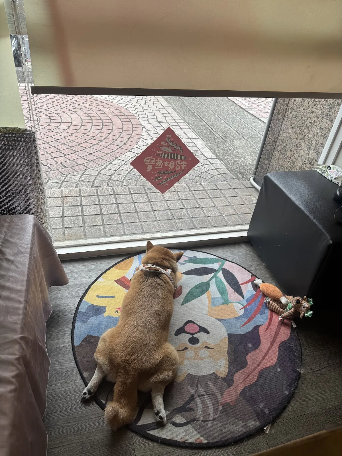 日光食堂/定食套餐/寵物友善/柴犬主題