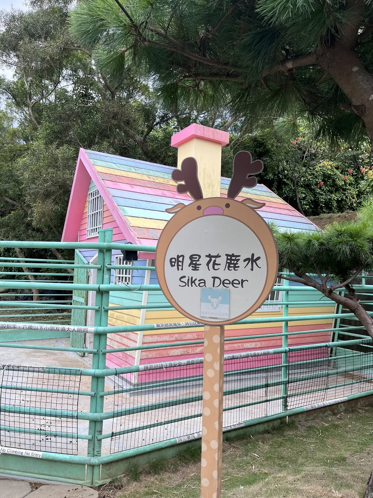 卡菲努努親子寵物餐廳