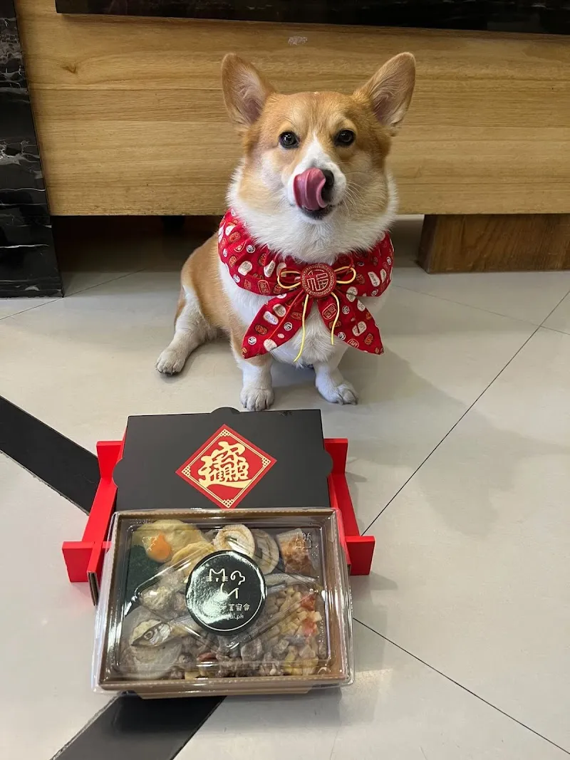 Mugai木蓋寵食｜寵物美食．人寵共食．慶生派對．萌寵交友派對．寵物蛋糕．寵物點心