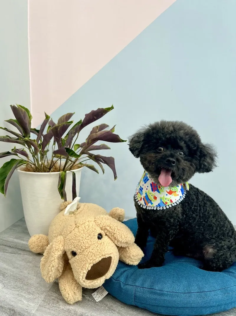 Mugai木蓋寵食｜寵物美食．人寵共食．慶生派對．萌寵交友派對．寵物蛋糕．寵物點心