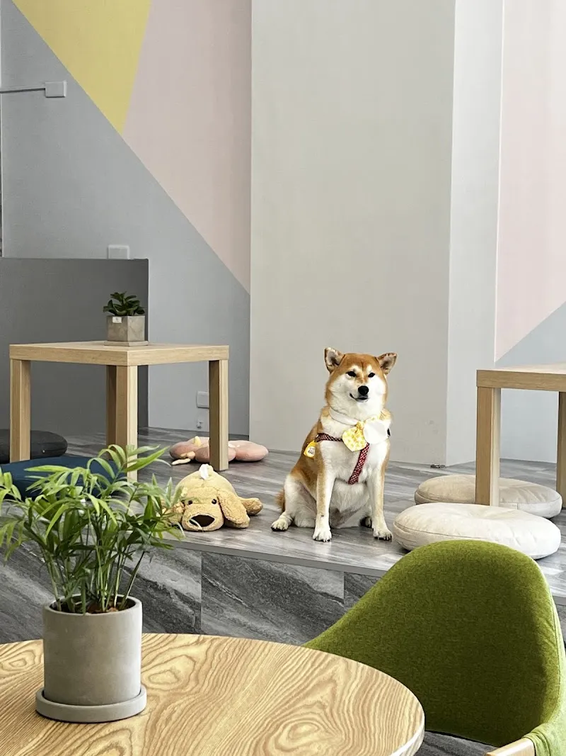 Mugai木蓋寵食｜寵物美食．人寵共食．慶生派對．萌寵交友派對．寵物蛋糕．寵物點心