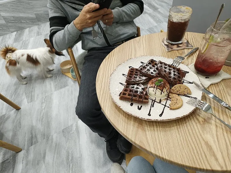 Mugai木蓋寵食｜寵物美食．人寵共食．慶生派對．萌寵交友派對．寵物蛋糕．寵物點心