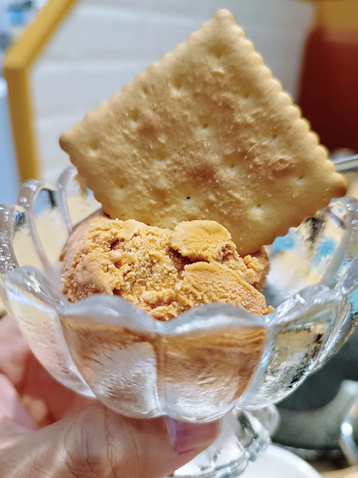 焣苑鍋物－板橋新埔店 | 寵物友善餐廳 | 板橋火鍋 | 新埔民生站火鍋 | 新埔站火鍋