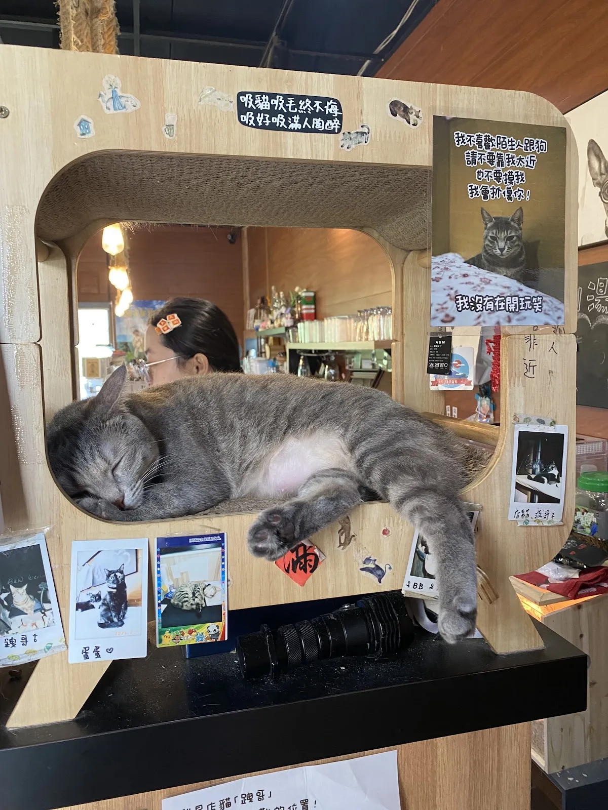 小黑小白寵物休閒餐廳（假日入口請先繳交100元入園費，至店內可全額抵消費;不定時有包場活動，請留意最新動態或 Facebook/ Instagram公告）