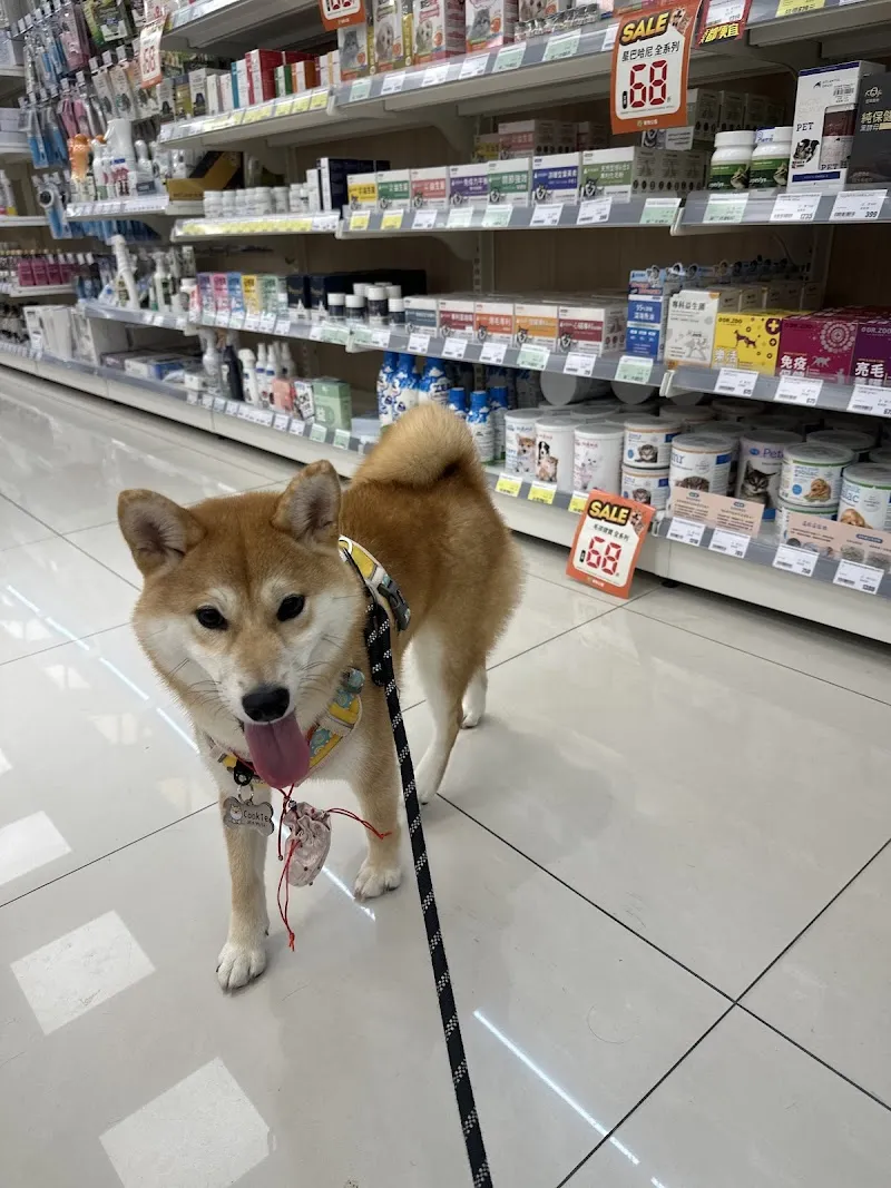 萬達寵物事業股份有限公司基隆信義分公司