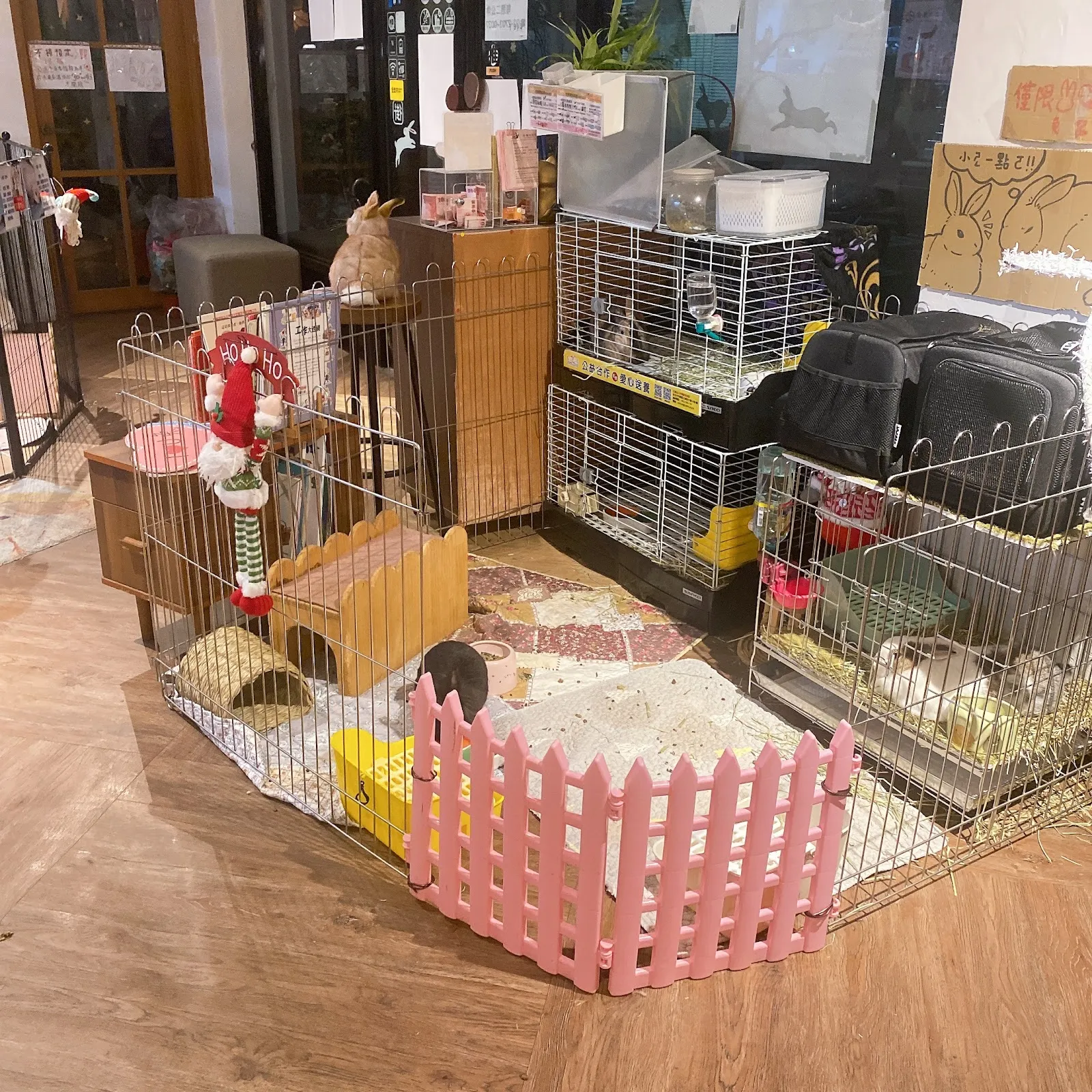 兔Dreams兔子餐廳-請先看過粉專置頂文