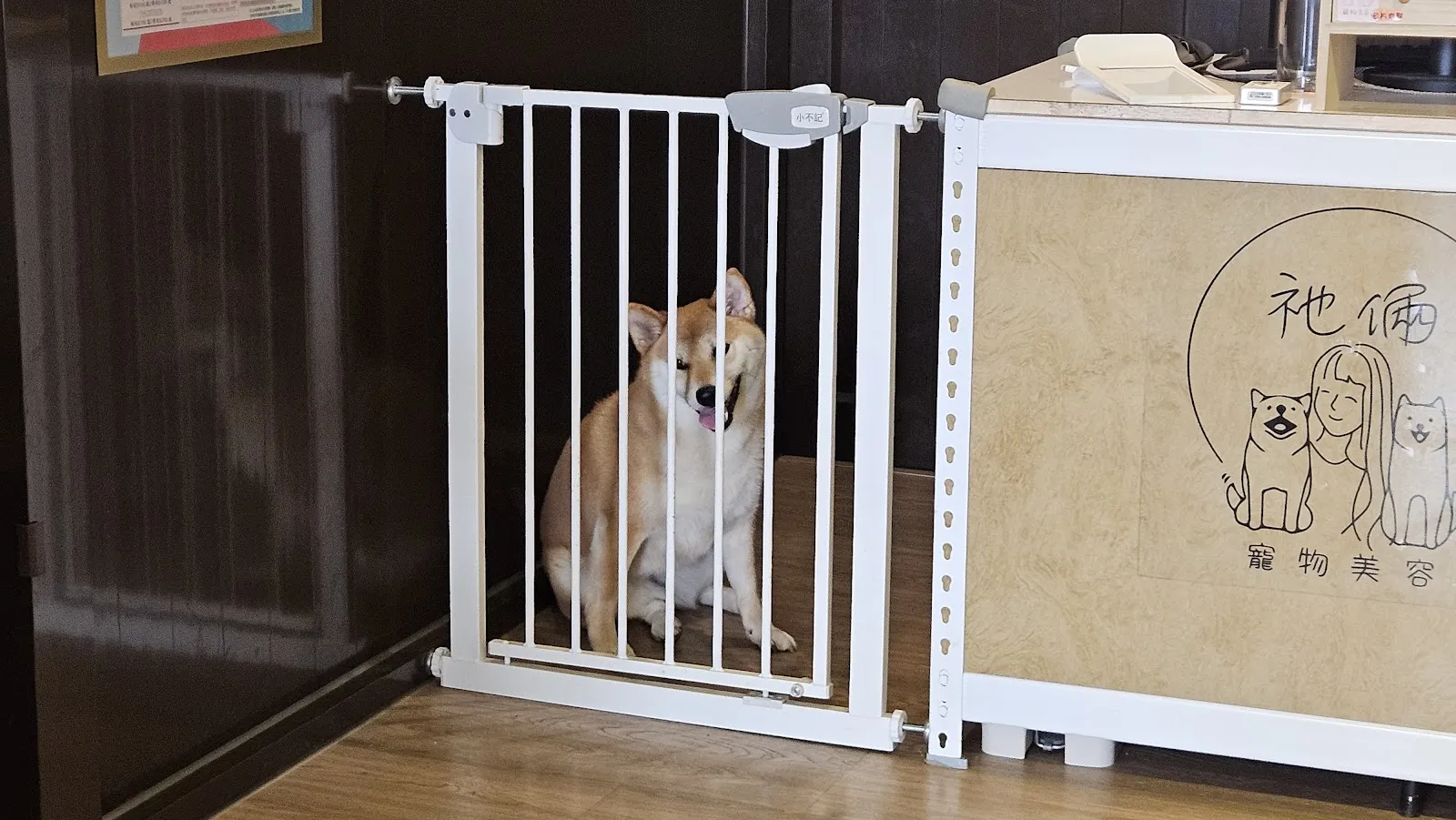 柴聚(寵物友善餐廳) 訂位或外帶訂餐可洽LINE@730gtceg詢問