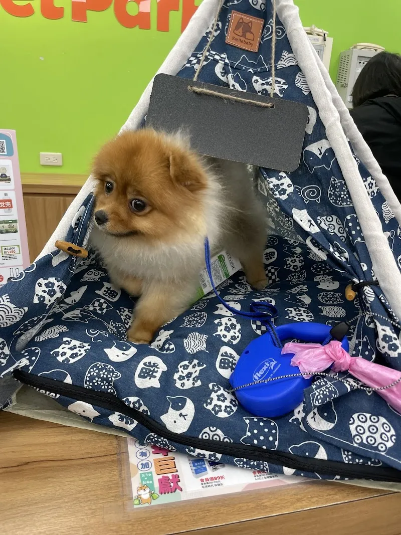 寵物公園(三多店)
