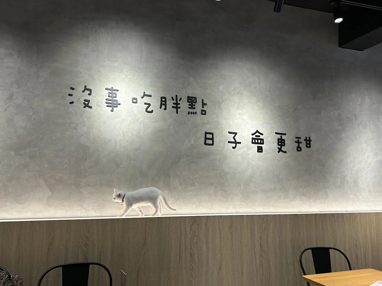胖點寵物親子友善餐廳《推薦餐廳》龍潭區在地美食｜熱門｜人氣餐廳｜手搖飲｜簡餐｜聚會餐廳｜早午餐｜特色｜精緻｜聚餐｜約會