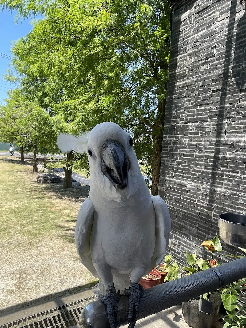 稻香寵物友善餐廳