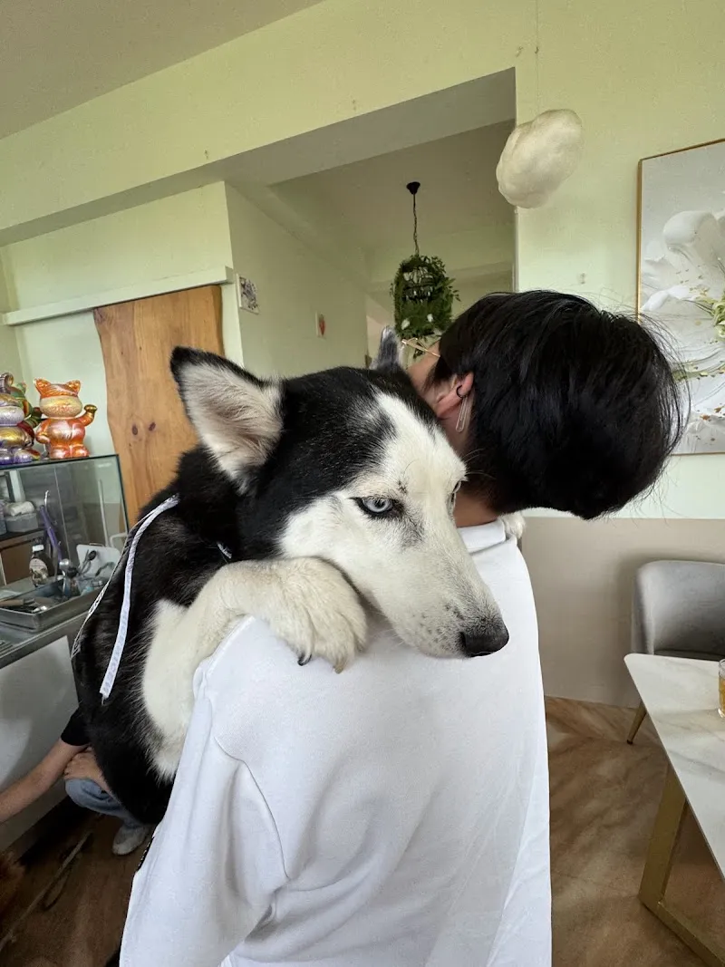 稻香寵物友善餐廳