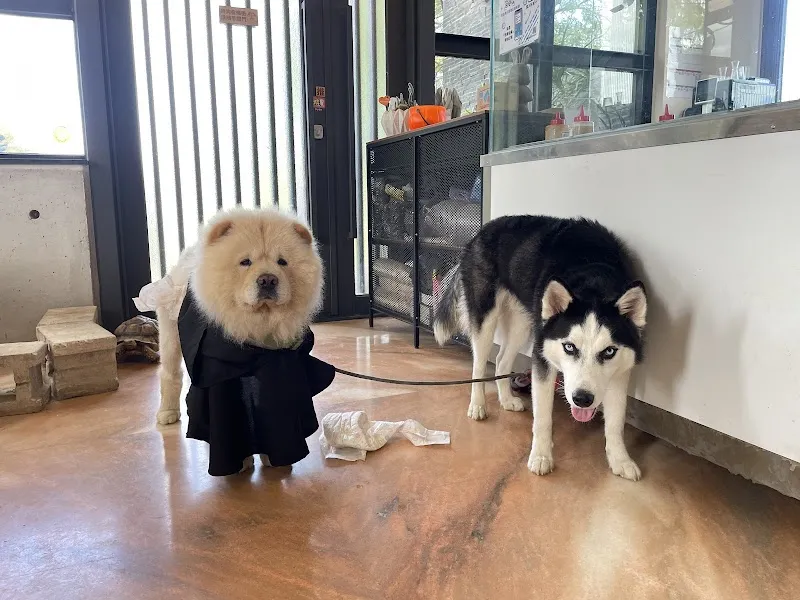 稻香寵物友善餐廳