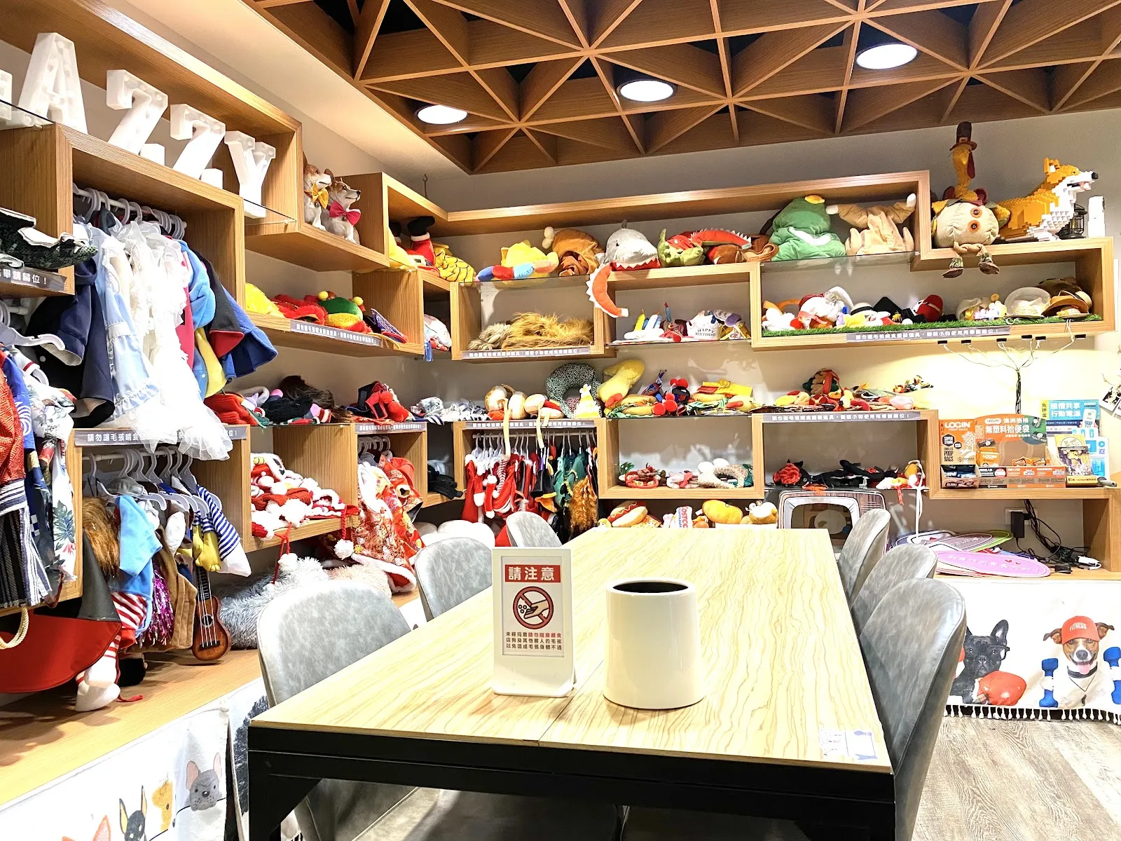 Lazzy Cafe 寵物餐廳 Pet Friendly Restaurant （附設寵物美容&本店沒有提供店狗與客人互動，現場只有客人的狗）