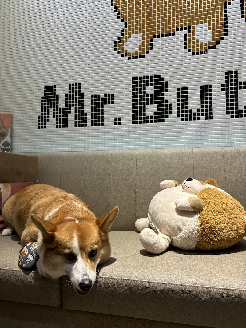 奶油先生(無提供訂位)