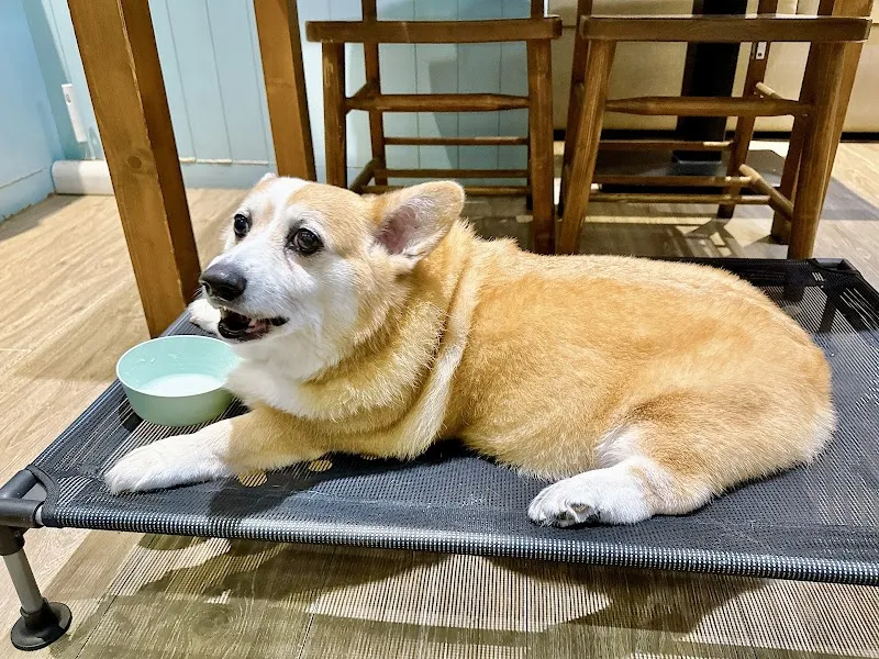 奶油先生(無提供訂位)