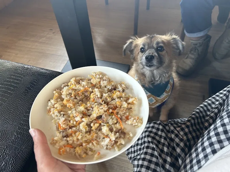 33MYCOFEE三山苑咖啡美食寵物餐廳